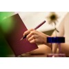 Parker Meridian violeta PGT pildspalva ar vāciņu – 2247764