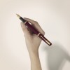 Parker Meridian sarkana GT tintes pildspalva (F) – 2231412